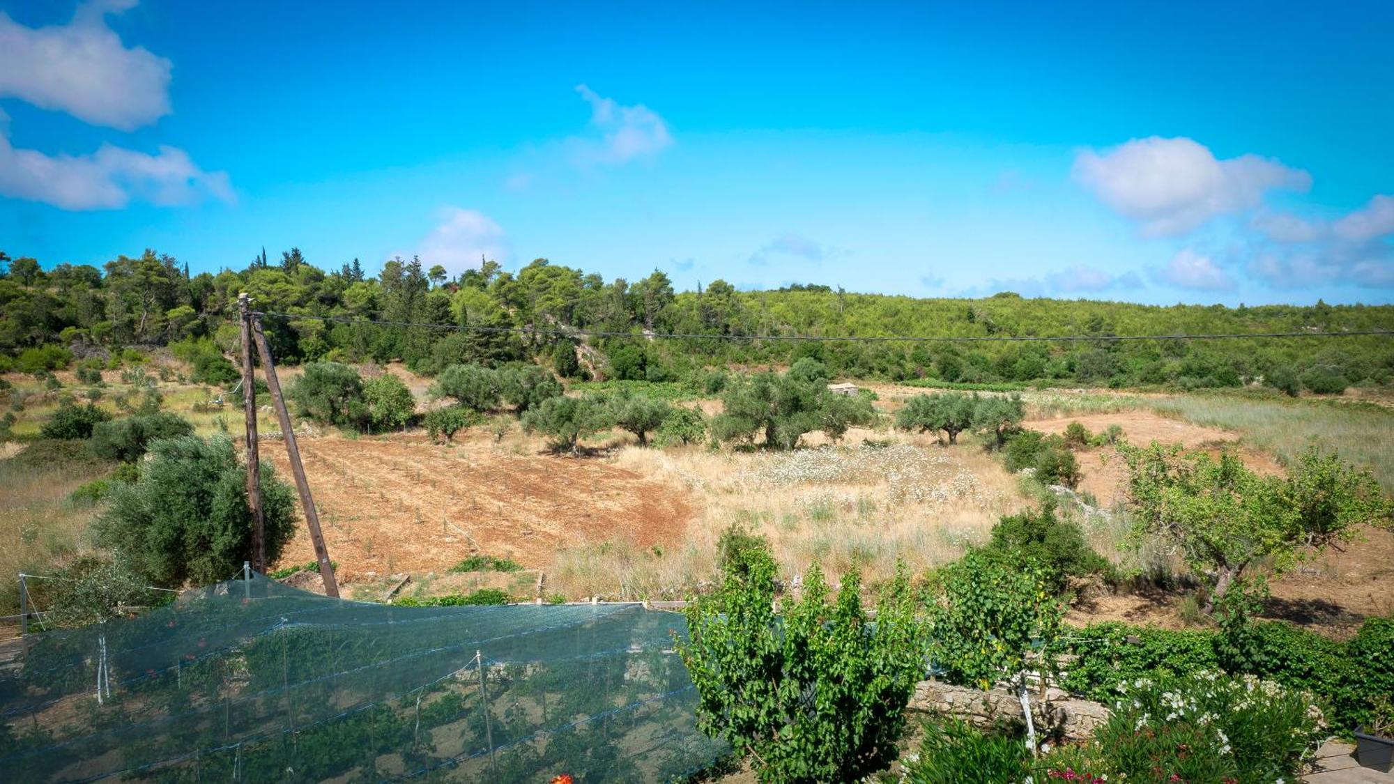 Fterini Apartments Sterna & Alletri Άγιος Λέον Εξωτερικό φωτογραφία