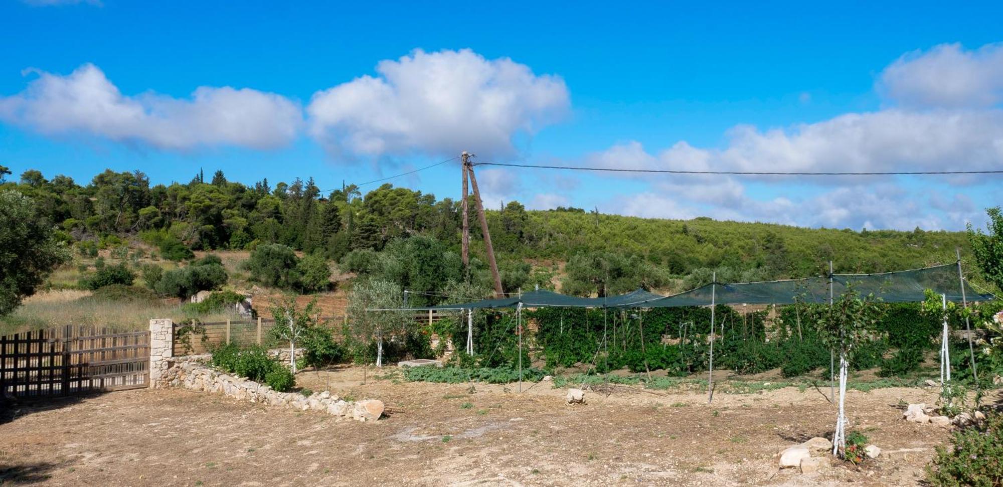 Fterini Apartments Sterna & Alletri Άγιος Λέον Εξωτερικό φωτογραφία